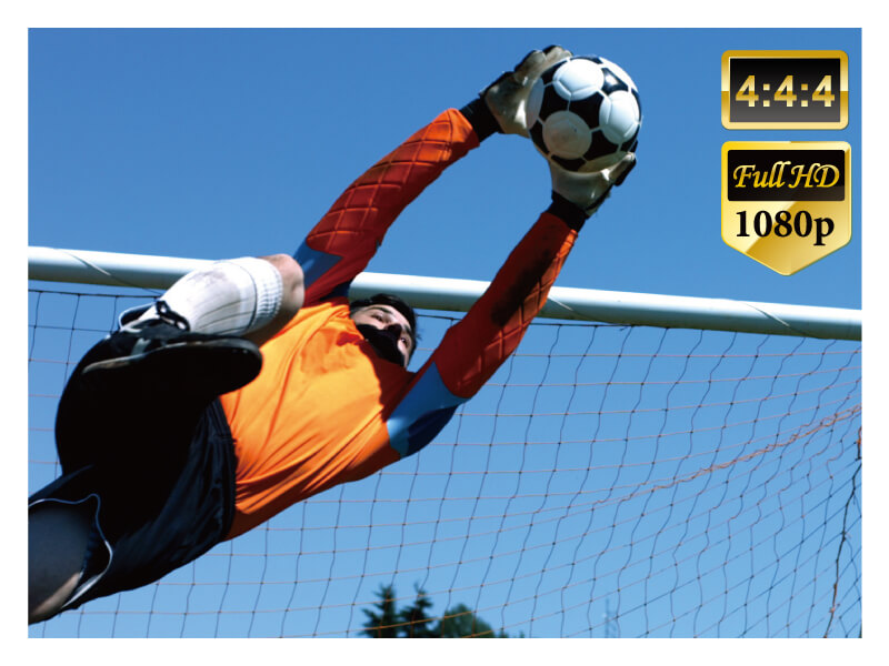 OIP-D40E / OIP-D40D AV over IP 編碼器 & 解碼器 產品圖